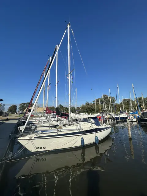 Maxi 84 — Molkwerum